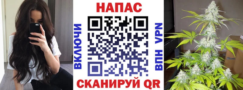 Марихуана White Widow  omg маркетплейс  Рассказово  купить наркотик 